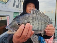 천국피싱~주간대물감성돔42 39 38 철수조황(내일예약가능)