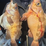 통영유림)기상.물때굿~~어초공략~열기.뽈락병행 예약가능