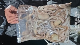삼천포 야간낙지 대박마릿수조황! 내일도출조 선비6만