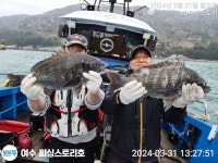 주말5짜외 감성돔 조황입니다.