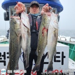 5월 23일 격포럭키스타 14분 농어조황