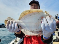 (東)동해조황 - >>왕도다리&가자미 몽땅가져가세유~(수목 예약중)