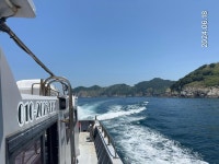 ((한사리))갈도 긴꼬리대세&돌돔(뺀찌)들 낮마리에~부시리천국^^