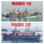 [거제뉴블루]쿨러없이 떠나요 여행~거제권 한치 초대박 100수이상으로 쿨러 가득가득!!!오늘자리여유~~