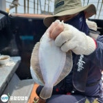 참가자미.도다리 마리수 굿~토.일 예약중