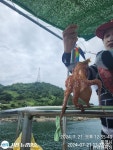 내일 돌문어 달립니다 예약중입니다