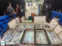 통영전투낚시 아트호7.93t) 7/27(2항차)일 돌문어 조황입니다