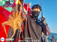 홍도 안경섬 선상조황 거제다대탑피싱호