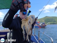 점주 선상조황(2024) 1330 페이지 > 인낚ㅣ인터넷바다낚시