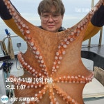 점주 선상조황(2024) 628 페이지 > 인낚ㅣ인터넷바다낚시