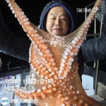 포항돌문어 2.4k 외