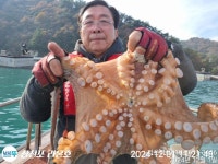 점주 선상조황(2024) 297 페이지 > 인낚ㅣ인터넷바다낚시