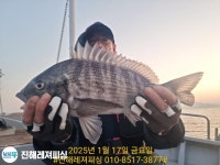 (南)남해조황 - 감성돔(카고)ㅡ56. 5짜 .4짜급으로 손맛굿굿(목.예약가능)