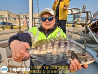 (南)남해조황 - 감성돔(카고)ㅡ56. 5짜 .4짜급으로 손맛굿굿(목.예약가능)