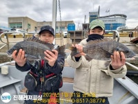 농어 선장조황.