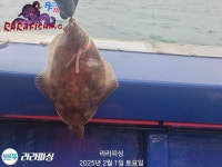 봄도다리시즌 스타트 도다리 잡으러 고고씽 내일3자리여유