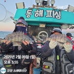 (東)동해조황 - 포항 감성돔 선상 마릿수