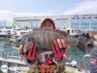 4대돔조황 ~2025.09.30 302 페이지 > 인낚ㅣ인터넷바다낚시
