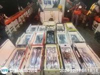 4대돔조황 ~2025.09.30 294 페이지 > 인낚ㅣ인터넷바다낚시