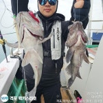 4월21일 격포럭키스타 우럭 굳조황