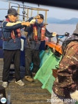 밤볼락!!! 어제까지사진들(오늘밤렛츠고) 뉴대양호