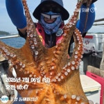 동경호~문어하면 진해안골^^키로급도전하러 안골로~(금.가능)