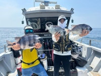 ((한사리))갈도 돌돔(뺀찌들 천국)50.49.48.47.46.45.44.43.42.41.40.3짜들도.줄줄이…