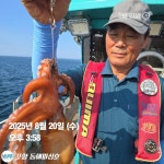[삼천포청용1호]씨알좋은 돌문어 출조합니다. 전어축제와 더불어 즐기러오이소~#주중,주말 예약가능합니다.