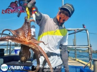 먹물조황 291 페이지 > 인터넷바다낚시