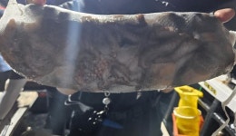 선상(배) / 좌대 조황 659 페이지 > 인터넷바다낚시