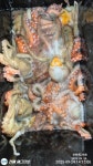 (南)남해조황 - 대물급 돌문어 1.85K, KKK급외 연이틀 세자리수이상 마리수조황 대박(총135수,101