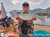 풍화리 감시및뻰치조황