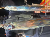 [준내만텐빈] 대치들 4지까지 역시나 좋아요~일요일~예약가능합니다