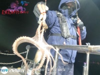 [1/1새해첫날 왕열기 줄줄이 쿨러조황]