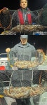 (南)남해조황 - 11일새벽,화살촉오징어~엄청나게 퍼담고 장원200수이상 초대박~오늘예약