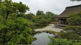 지한컷 교토시리즈(38) - 음식/여행/사진 - 플레이어스