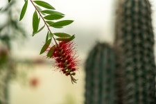 항동 푸른수목원 - 음식/여행/사진 - 플레이어스