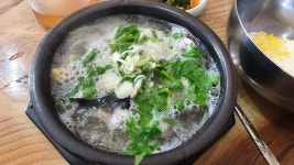 삼천포 향촌복집 - 음식/여행/사진 - 플레이어스