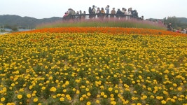 양주 나리공원 - 음식/여행/사진 - 플레이어스