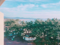 대천여행 2 - 음식/여행/사진 - 플레이어스