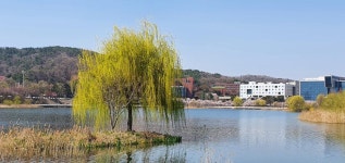 천안 안서동 천호지(단대호수) - 음식/여행/사진 - 플레이어스