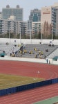 전남분들 수고하셨습니다 - 국내축구 - 플레이어스