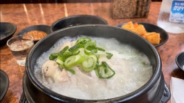 바야흐로 삼계탕의 계절 - 국내축구 - 플레이어스