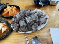 병천 충남집순대 왔다 - 국내축구 - 플레이어스
