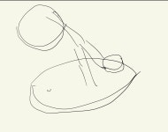 오 벨킨 삼임원 왓다 ㅅㅅ 인증함 - 디지털 - 플레이어스