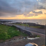 일몰맛집왔다 - 야구/기타스포츠 - 플레이어스