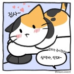 비마이펫 귀여운짤 - 동물 - 플레이어스