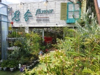 대전광역시유성구 꽃배달, 대전광역시유성구 꽃집, 대전광역시 유성구 북유성대로 35-9 꽃집, 천송플라워(노은동) 꽃집, 대전광역시 유성구... 