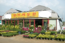 꽃뜨레농원 플라워119꽃배달서비스 - 생일, 개업, 축하, 근조 꽃배달... 전국꽃배달서비스,맞춤꽃배달,꽃, 꽃집,맞춤꽃, 적립금, 기념일 관리... 