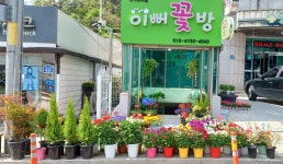 경기도가평군 꽃배달, 경기도가평군 꽃집, 경기도 가평군 청평면 청평중앙로 51 꽃집, 지하 꽃집, 경기도 가평군 청평면 청평중앙로 51 꽃배달... 
